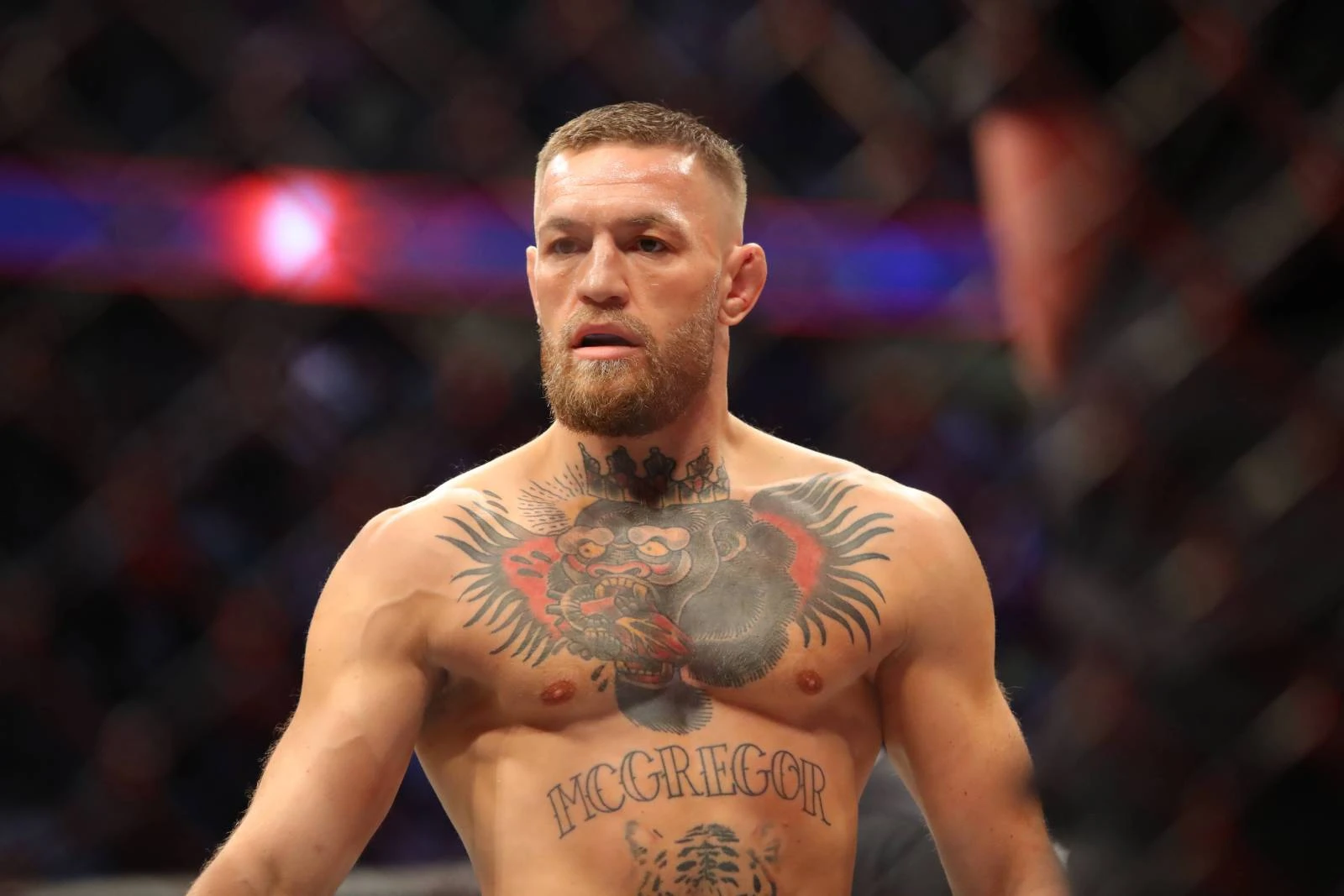 "Конор Макгрегор 2024 жылы жекпе-жек өткізбейді" – UFC президенті