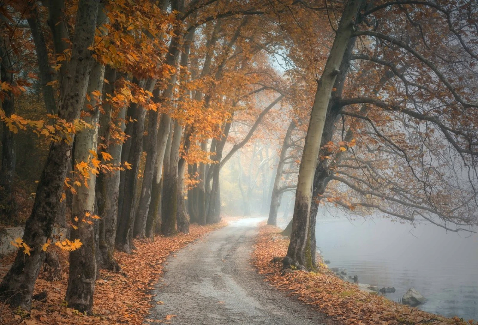 Қар аралас жаңбыр, көктайғақ, тұман: бірнеше өңірде ескерту жарияланды